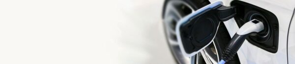 banner-15